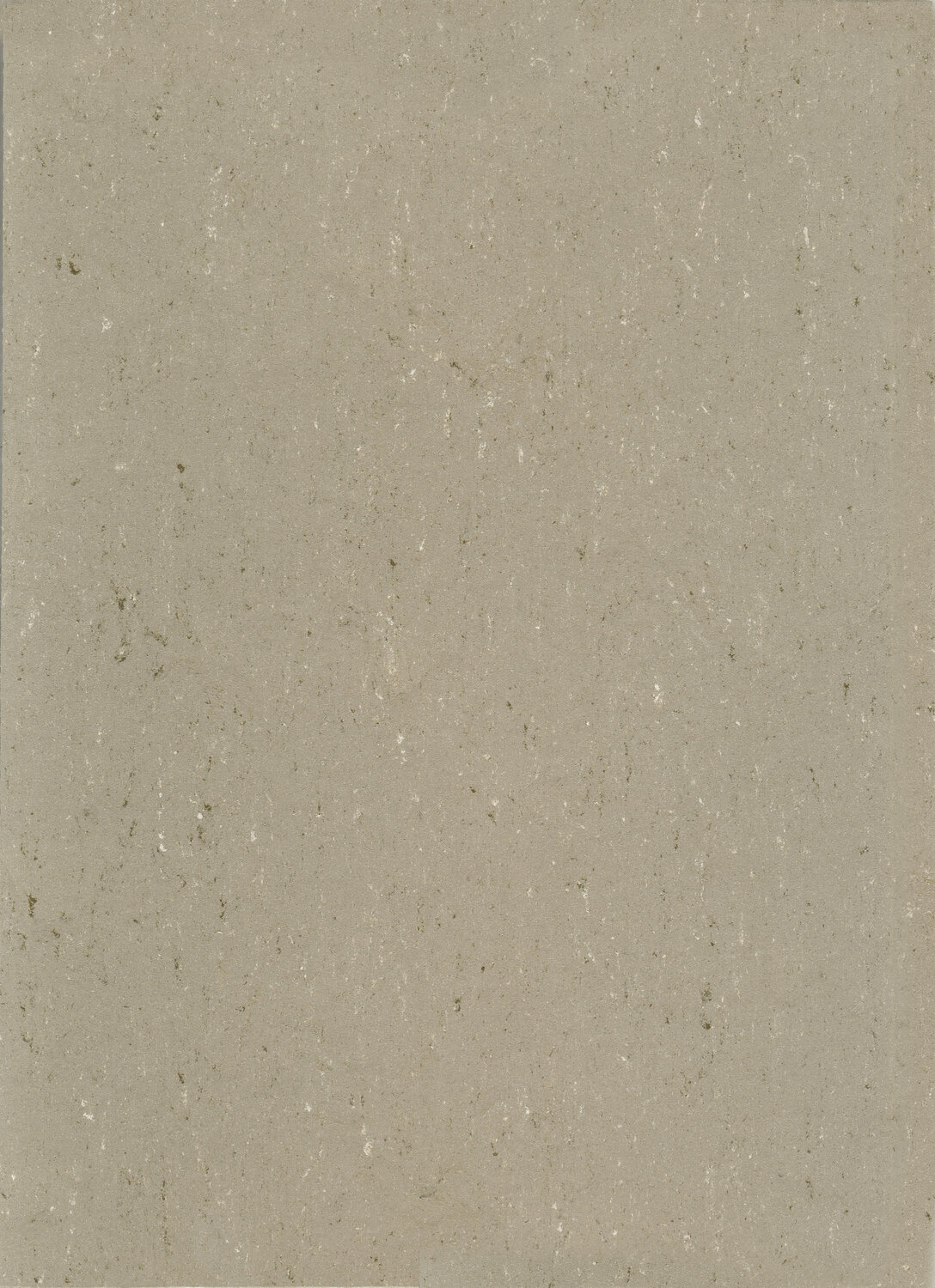 0043 LIGHT MUD