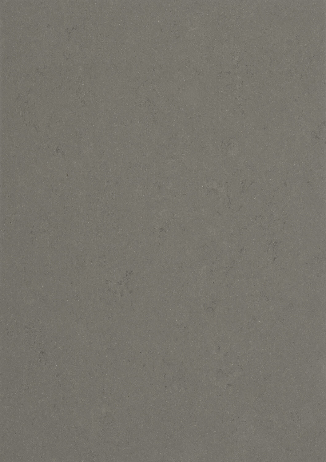 0560 BOLD GREY