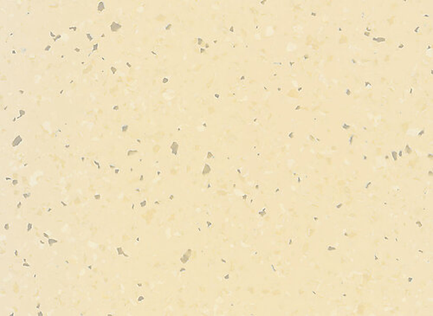 5023 PARCHMENT