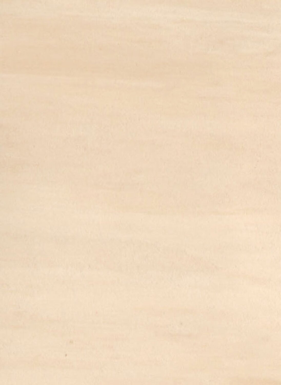 0301 BEIGE